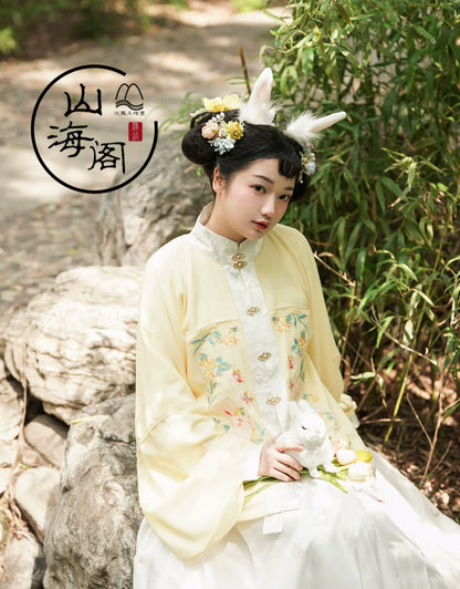 Lei Si 蕾丝 Lacy Bunny Ming Dynasty Plus Size Liling Pipa Sleeve Mamian Aoqun Set