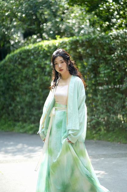An Xiang 暗香 Distant Fragrance Modernized Song Dynasty Feijixiu & Baidiequn Set