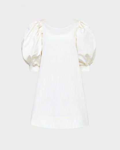 Willy Mini Dress
