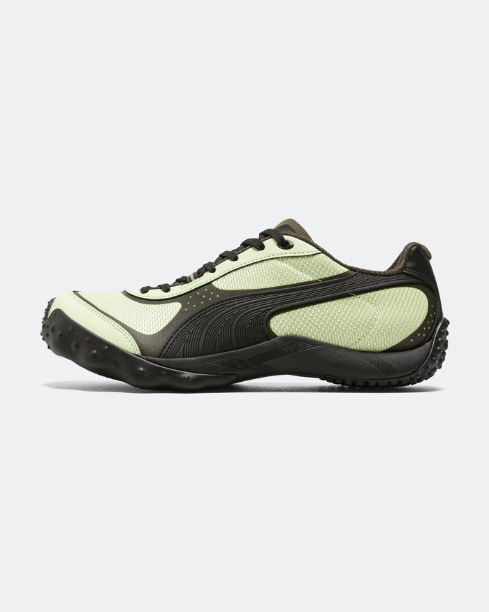 Achillium - Pistachio/Deep Olive