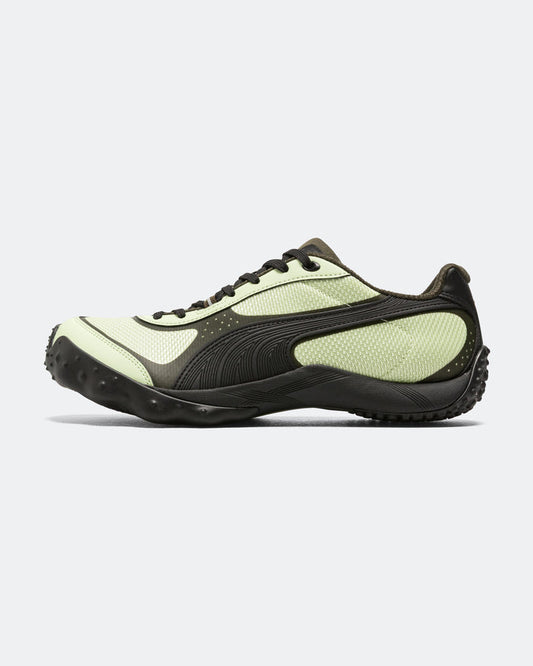 Achillium - Pistachio/Deep Olive