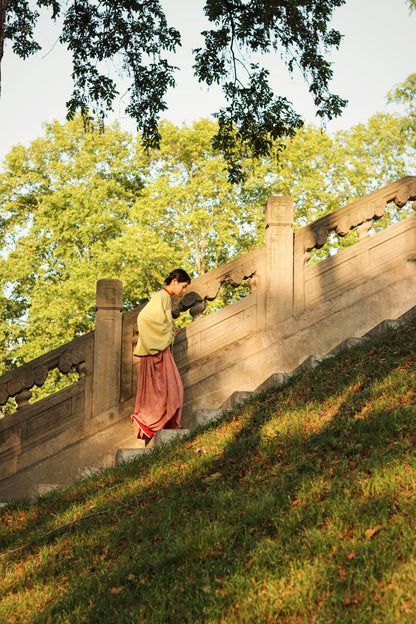 Egg Yolk 熟蛋 Ming Dynasty Contrast Collar Pipa Sleeves Liling Duijin Shirt