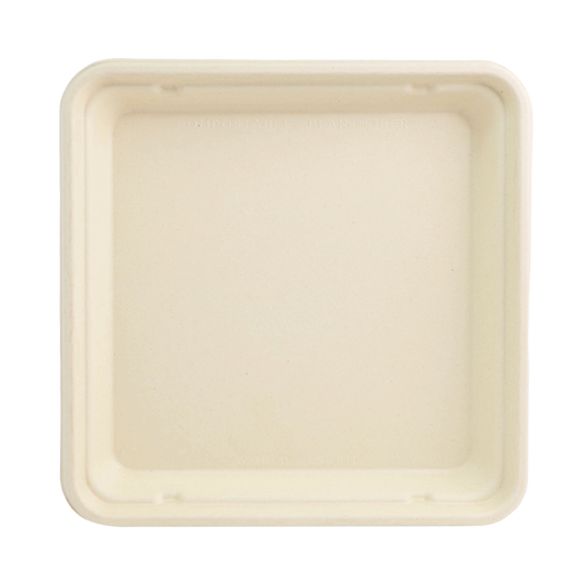 World Centric 8x8 Linear Takeout Container, Shallow  | 388-Series | 300/cs