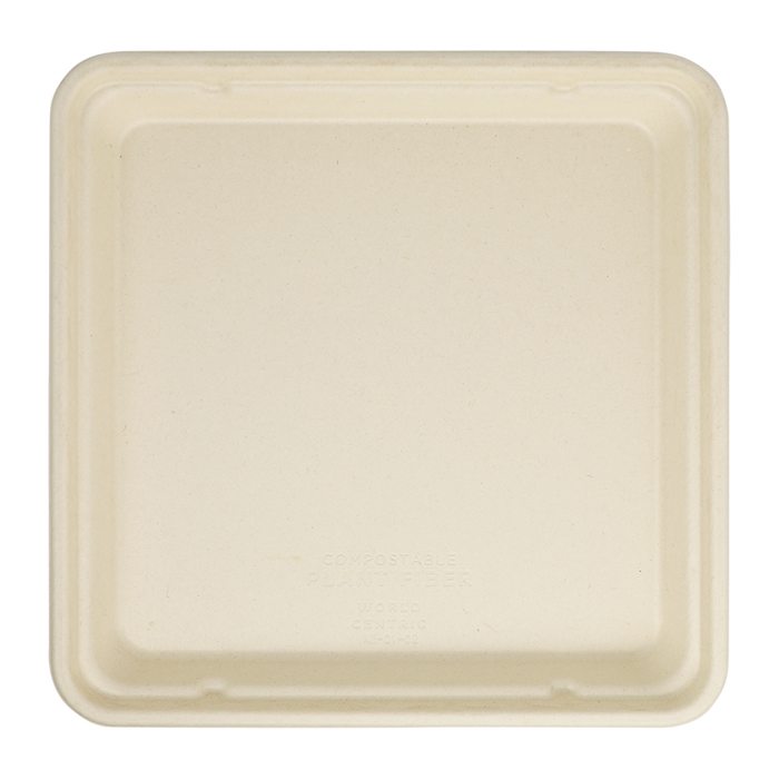 World Centric 9x9 Linear Takeout Container, Shallow  | 399-Series | 300/cs