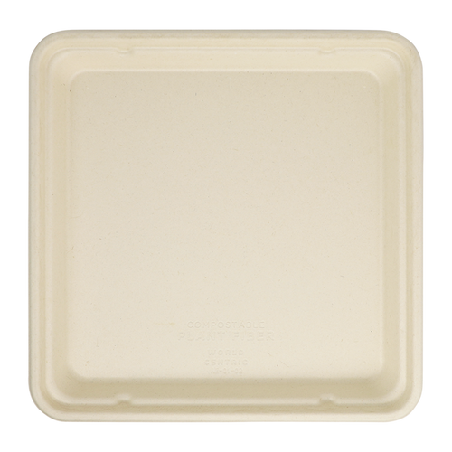 World Centric 9x9 Linear Takeout Container, Shallow  | 399-Series | 300/cs