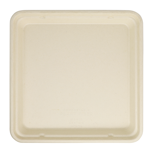 World Centric 9x9 Linear Takeout Container, Shallow  | 399-Series | 300/cs